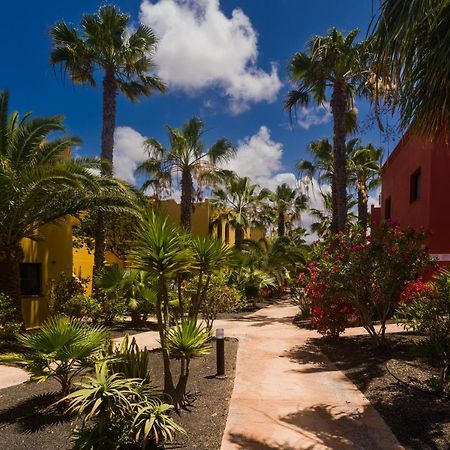 Oasis Vistamar Lejlighed Corralejo Eksteriør billede