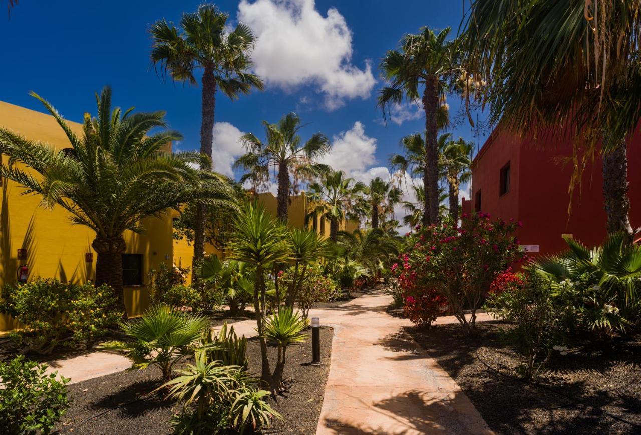 Oasis Vistamar Lejlighed Corralejo Eksteriør billede